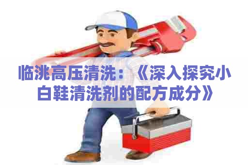 临洮高压清洗:《深入探究小白鞋清洗剂的配方成分》 临洮高压清洗:《深入探究小白鞋清洗剂的配方成分》