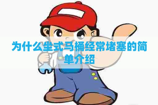 为什么坐式马桶经常堵塞的简单介绍