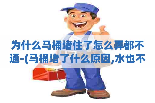 为什么马桶堵住了怎么弄都不通-(马桶堵了什么原因,水也不下去) 为什么马桶堵住了怎么弄都不通-(马桶堵了什么原因,水也不下去)