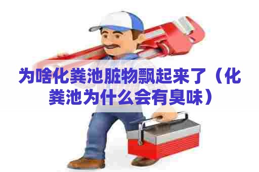 为啥化粪池脏物飘起来了（化粪池为什么会有臭味）