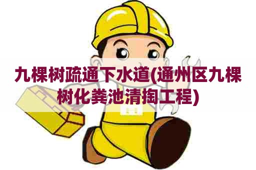 九棵树疏通下水道(通州区九棵树化粪池清掏工程)