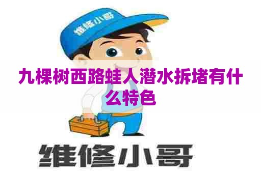 九棵树西路蛙人潜水拆堵有什么特色