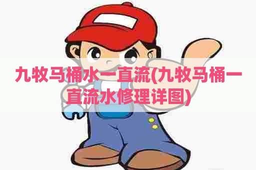 九牧马桶水一直流(九牧马桶一直流水修理详图)