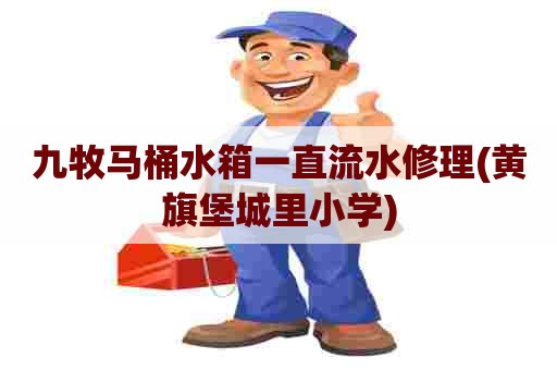 九牧马桶水箱一直流水修理(黄旗堡城里小学) 九牧马桶水箱一直流水修理(黄旗堡城里小学)