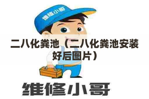 二八化粪池（二八化粪池安装好后图片）