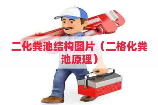 二化粪池结构图片（二格化粪池原理）
