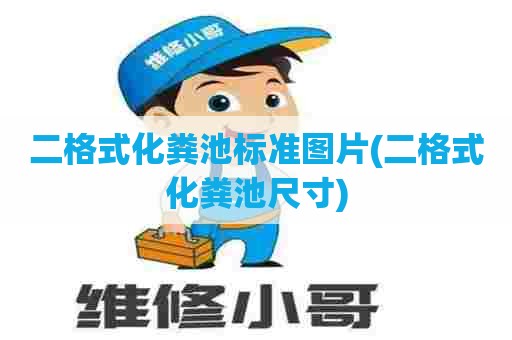 二格式化粪池标准图片(二格式化粪池尺寸)