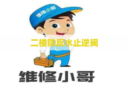 二楼防反水止逆阀