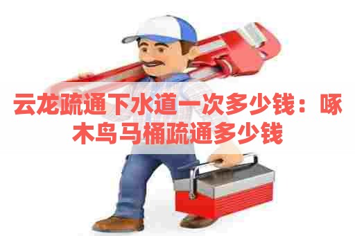 云龙疏通下水道一次多少钱：啄木鸟马桶疏通多少钱