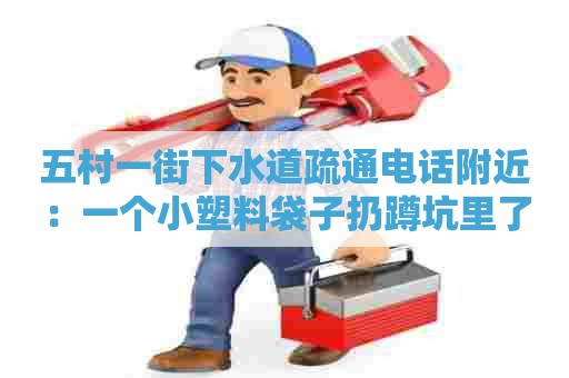 五村一街下水道疏通电话附近：一个小塑料袋子扔蹲坑里了