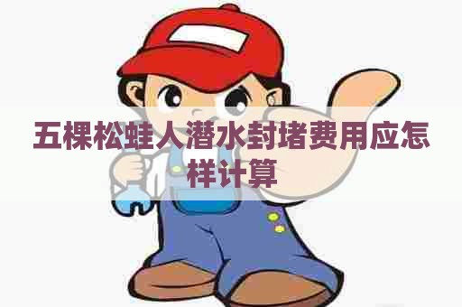 五棵松蛙人潜水封堵费用应怎样计算