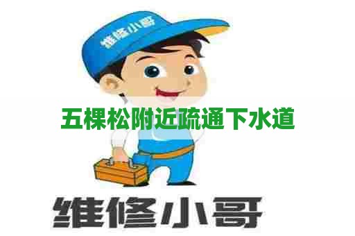 五棵松附近疏通下水道