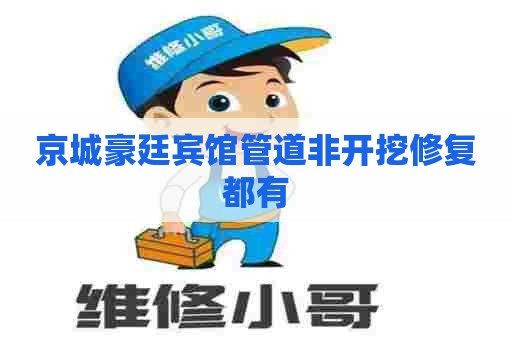京城豪廷宾馆管道非开挖修复都有