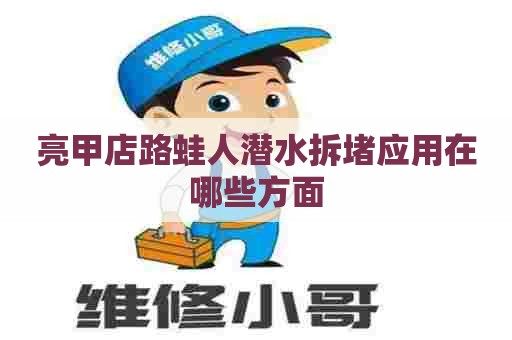 亮甲店路蛙人潜水拆堵应用在哪些方面