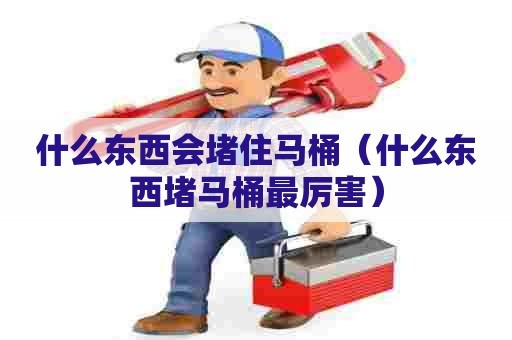 什么东西会堵住马桶（什么东西堵马桶最厉害）