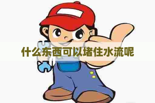 什么东西可以堵住水流呢
