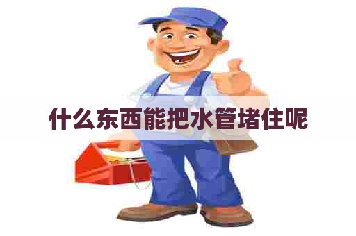 什么东西能把水管堵住呢