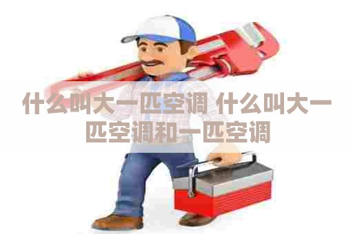 什么叫大一匹空调 什么叫大一匹空调和一匹空调