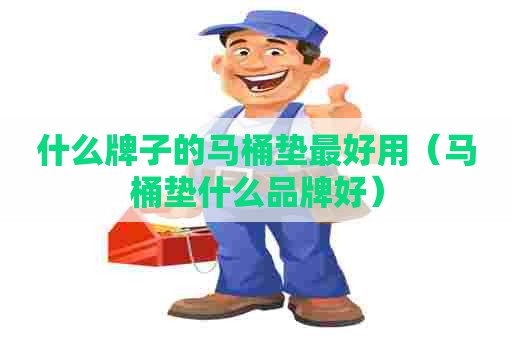 什么牌子的马桶垫最好用（马桶垫什么品牌好）