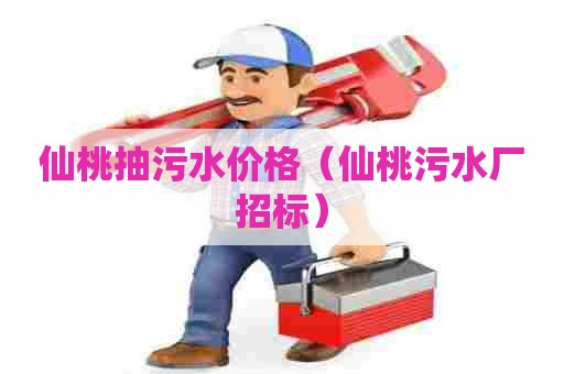 仙桃抽污水价格（仙桃污水厂招标）