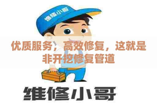 优质服务,高效修复,这就是非开挖修复管道 优质服务,高效修复,这就是非开挖修复管道