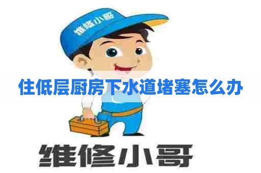住低层厨房下水道堵塞怎么办
