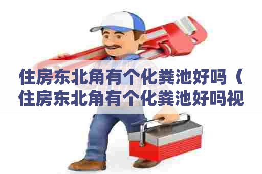 住房东北角有个化粪池好吗(住房东北角有个化粪池好吗视频) 住房东北角有个化粪池好吗(住房东北角有个化粪池好吗视频)
