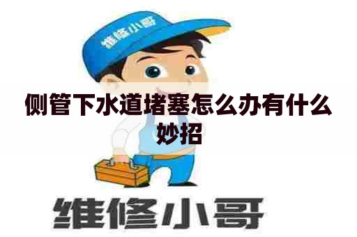 侧管下水道堵塞怎么办有什么妙招