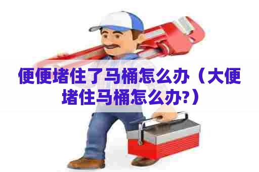 便便堵住了马桶怎么办(大便堵住马桶怎么办?) 便便堵住了马桶怎么办(大便堵住马桶怎么办?)