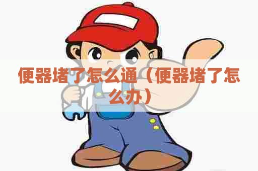 便器堵了怎么通（便器堵了怎么办）