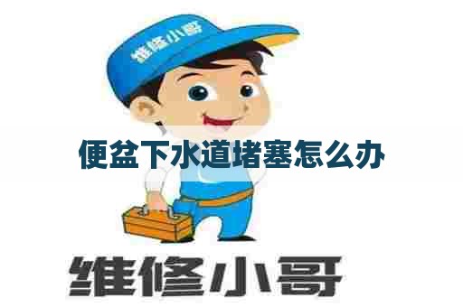 便盆下水道堵塞怎么办