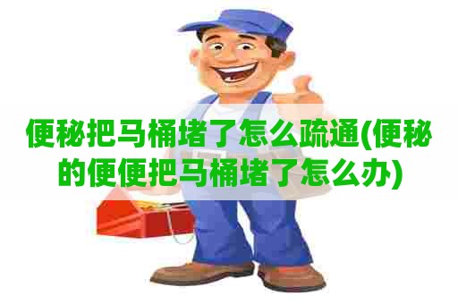 便秘把马桶堵了怎么疏通(便秘的便便把马桶堵了怎么办)