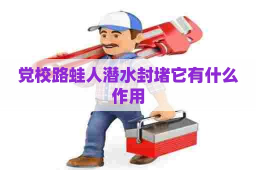 党校路蛙人潜水封堵它有什么作用
