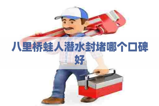 八里桥蛙人潜水封堵哪个口碑好