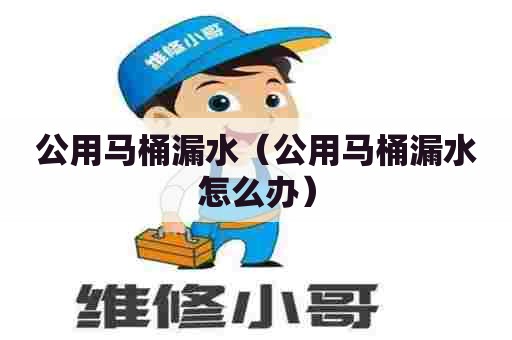 公用马桶漏水（公用马桶漏水怎么办）