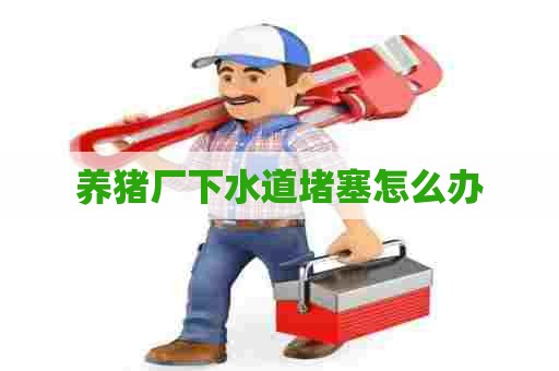 养猪厂下水道堵塞怎么办