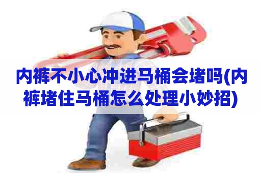 内裤不小心冲进马桶会堵吗(内裤堵住马桶怎么处理小妙招)