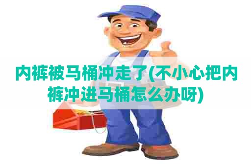 内裤被马桶冲走了(不小心把内裤冲进马桶怎么办呀)