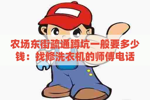 农场东街疏通蹲坑一般要多少钱：找修洗衣机的师傅电话