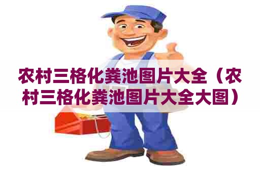 农村三格化粪池图片大全（农村三格化粪池图片大全大图）