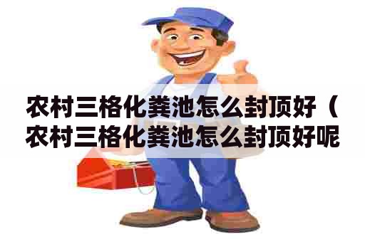 农村三格化粪池怎么封顶好（农村三格化粪池怎么封顶好呢）
