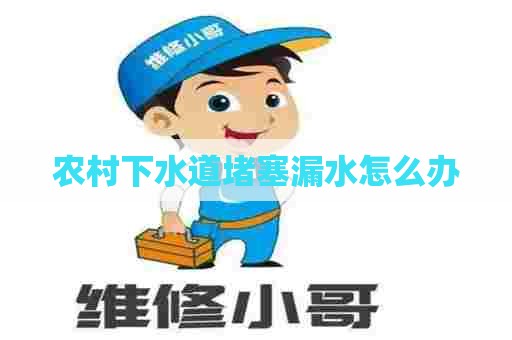 农村下水道堵塞漏水怎么办