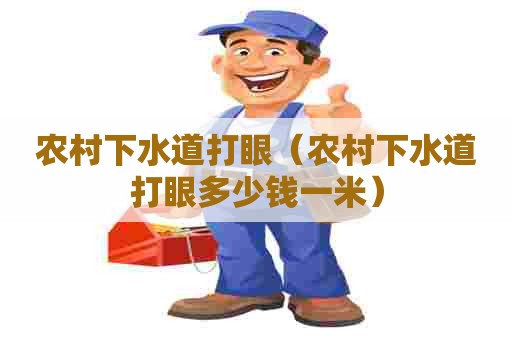 农村下水道打眼（农村下水道打眼多少钱一米）