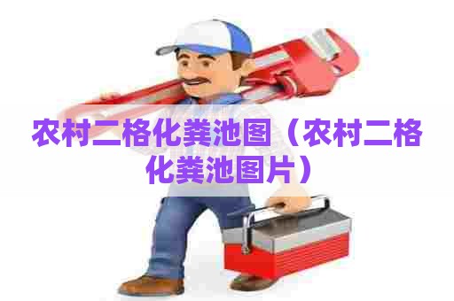 农村二格化粪池图（农村二格化粪池图片）