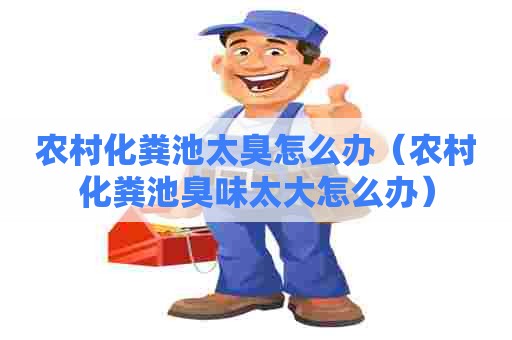 农村化粪池太臭怎么办（农村化粪池臭味太大怎么办）