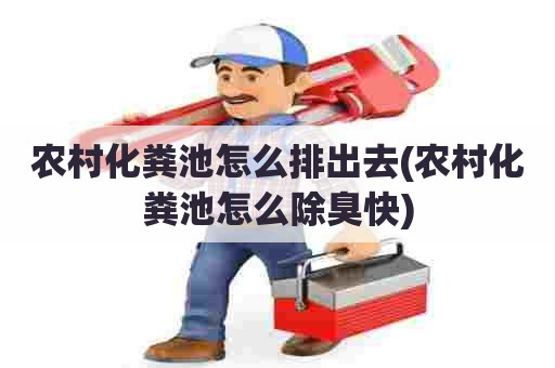 农村化粪池怎么排出去(农村化粪池怎么除臭快)