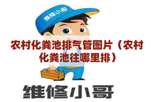 农村化粪池排气管图片（农村化粪池往哪里排）