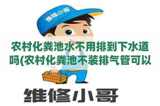 农村化粪池水不用排到下水道吗(农村化粪池不装排气管可以吗)