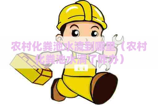 农村化粪池水流到哪里（农村化粪池水满了咋办）