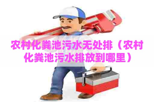 农村化粪池污水无处排（农村化粪池污水排放到哪里）